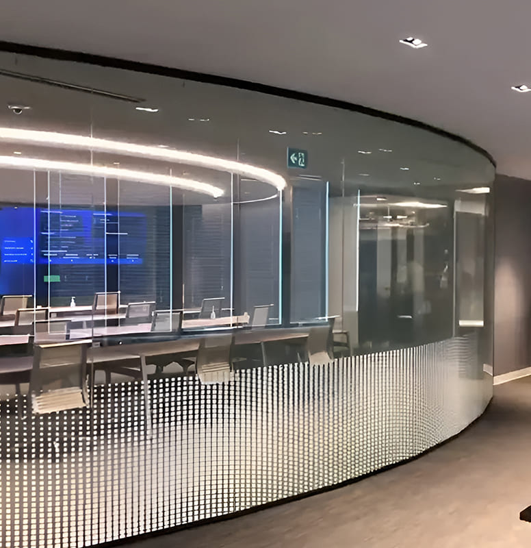 Switchable Glass (6)